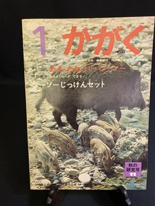 『TU 昭和45年11月 1年のかがく 秋の研究号 学習研究所 学研 教育』