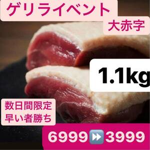 大赤字訳あり　鴨肉1.1キロ