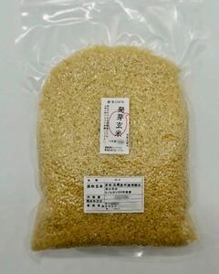 熊本県産 令和3年新米100% 発芽玄米 2袋 れんげ米 6kg 