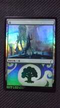 MTG 森/Forest Ravnica Weekend Simic B09/010 日本語版 Foil_画像1