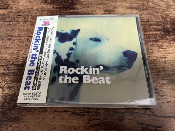CD「Rockin' the Beat」ハウンドドッグ英語カバー●