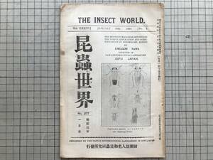 『昆虫世界 No.377 昭和四年1月号』名和梅吉 他 名和昆虫研究所 1929 ※桑樹害虫ヤマモモノコナジラミ・白蟻断片・全国稲作害虫展 他 01915