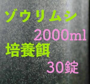 ゾウリムシ　2000ml 2L メダカ　針子の餌　【KASUMIめだか】