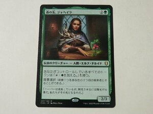 MTG 美品 【森の友、ジャヘイラ】 （レア） CLB 日 2枚迄