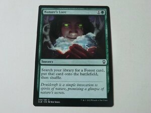 MTG 美品 【自然の知識】 （コモン） CLB 英 3枚迄