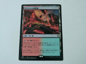 MTG 美品 【燃えがらの林間地】 （レア） CLB 日 9枚迄