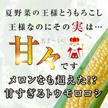 今年は数量限定☆スイートコーン【1円～】農家直送！ゴールドラッシュ(1箱13本入り)【ヤマトクール便】_画像1