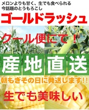 今年は数量限定☆スイートコーン【1円～】農家直送！ゴールドラッシュ(1箱13本入り)【ヤマトクール便】_画像3