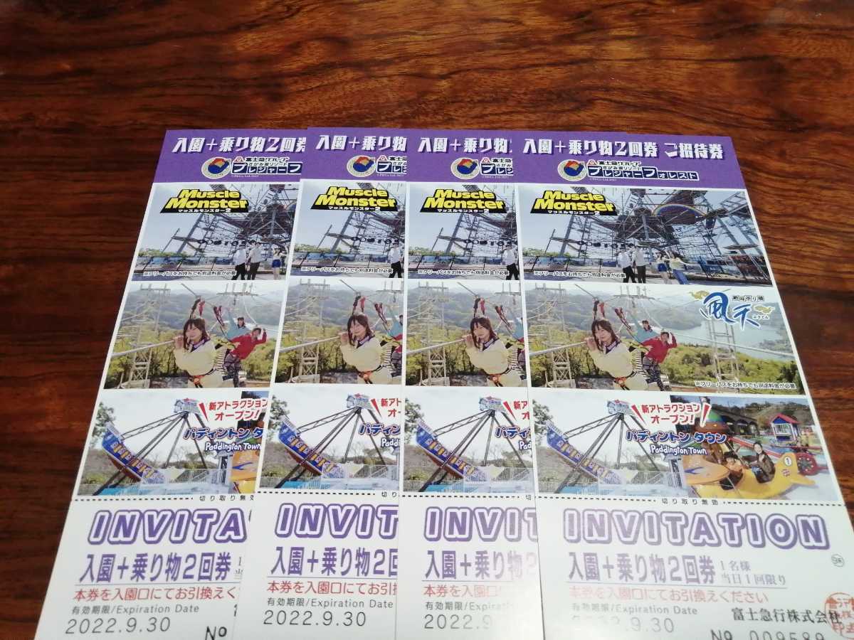 プレジャーフォレスト 入園+乗り物2回券 1枚 C20X67c2Zc
