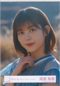 櫻坂46 尾関梨香 「僕のジレンマ」MVロケーション衣装 生写真 ヨリ