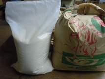 令和３年産白米10kg×１ 袋 お徳用米 ミルキークイーン7：コシヒカリ3のブレンド白米 条件付き送料無料_画像3