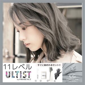 資生堂 ヘアカラー アルティスト プリミエンス【イルミナカラー アディクシー同梱割有】11 チャコールグレー グレージュ 1個