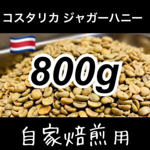 コスタリカ　ジャガーハニー　800g 生豆