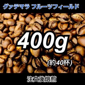 注文後焙煎 グアテマラ フルーツフィールド 400g 珈琲豆 コーヒー