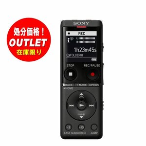 【新品未使用】ソニー SONY ステレオICレコーダー ICD-UX570F/BC【海外仕様】