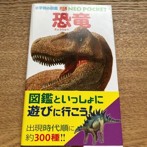 恐竜/冨田幸光