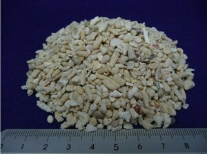 新品★天然サンゴ砂♯5（約5mm）細目20kg＜底砂・ろ材用＞