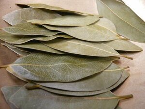 ローリエ・ローレル・月桂樹　20枚　レストラン御用達　自然栽培　乾燥葉