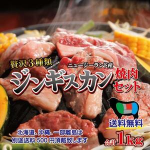 送料無料 ジンギスカン焼肉セット合計1ｋｇ　3種肉　冷凍品