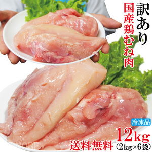 同梱発送不可商品 送料無料 国産鶏むね正肉冷凍訳ありB品2kgx6パック 計12kg ムネ 胸肉 鶏肉 鳥 国内産