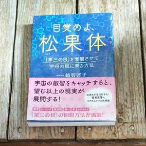 ☆自分の価値を最大にするハーバードの心理学講義 ブライアン・R・リトル*☆