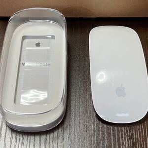 Apple Magic Mouse MB829J/A