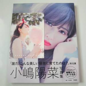 小嶋陽菜 写真集 どうする? 初版・帯付・ポストカード付