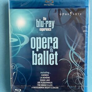 Experience Opera & Ballet Highlights ブルーレイ 輸入盤. デモディスク