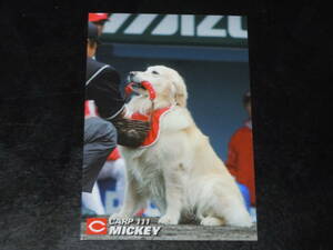 Не продавать 2005 Calbie Baseball Chips Stadium Limited Promo Card Hiroshima Mickey P