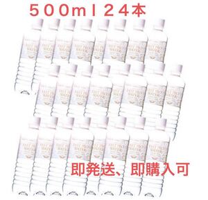 エステプロラボ ファストプロウォーター 500ml×24本