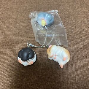 ハムスター