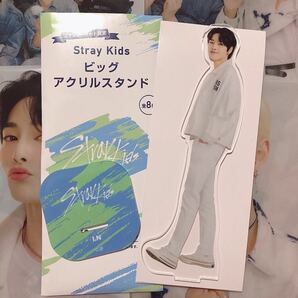 straykids アイエン アクスタ