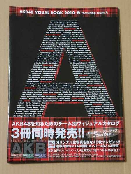 AKB48 VISUAL BOOK 2010 チームA ビジュアルブック