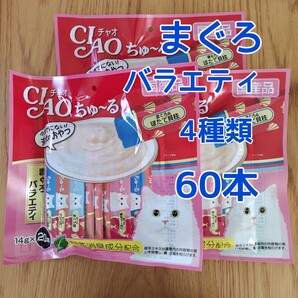 いなば ちゅーる チュール 猫用 おやつ 14g×60本 4種類 チャオちゅーる まぐろバラエティ 国産