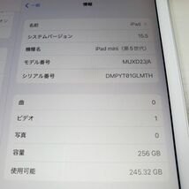 　★【21181WM】 月末セール！美品 SIMフリー MUXD2J/A iPad mini (第5世代) シルバー 256GB Wi-Fi+Cellular_画像7