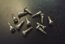 ☆KLUSON Peg Screws for Gibson 1950s ☆12本セット☆マイナスネジの直後のプラスネジ☆貴重品 02_画像1