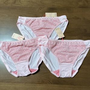 アモスタイル トリンプ ショーツ L
