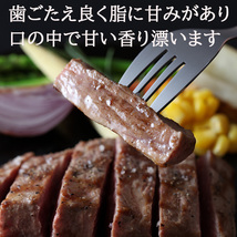 イベリコ豚 ロース ステーキ肉 2枚×100g ベジョータ 豚肉 お中元 2022 お肉 食品 食べ物 ギフト グルメ_画像3