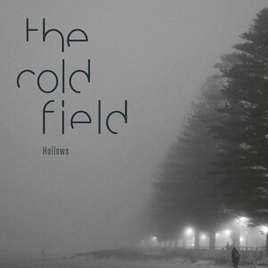 The Cold Field Hollows LP (Ltd 200 Yellow transparent 140g Vinyl) Cold Transmission Music ドイツ Dark Cold Wave Post Punk