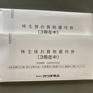 最新　カワチ薬品　株主優待券　30000円分　23年6月末まで　送料込