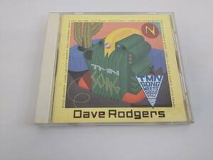 D964)ディスコ アルバム CD 1点　Dave Rodgers デイブ ロジャース TMN SONGS MEETS DISCO STYLE 10曲収録 avex trax