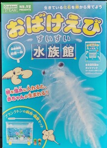 おばけえび すいすい 水族館 科学と学習 PRESENTS プランクトンの飼育・観察セット ガイドブック付き 学研プラス