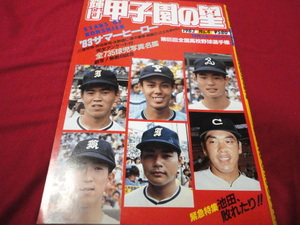 【高校野球】輝け甲子園の星　第65回選手権大会決算号　PL学園×横浜商