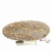 【薬石苑】姫川薬石・芯まで虎模様・水質改善・花台・料理皿・工芸品加工用【多用途な万能石盤プレート】200g_画像1