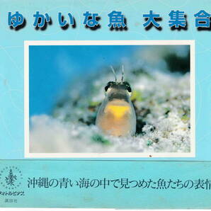 井上慎也・著★「ゆかいな魚 大集合―井上慎也写真集 (フォトルピナス)」講談社