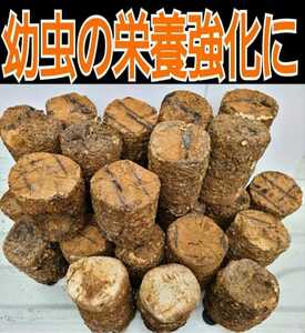 カブトムシ幼虫の栄養強化に！椎茸菌床ブロック【10個】マットに埋め込むだけで幼虫が潜り込みモリモリ食べて大きくなります！クヌギ100％