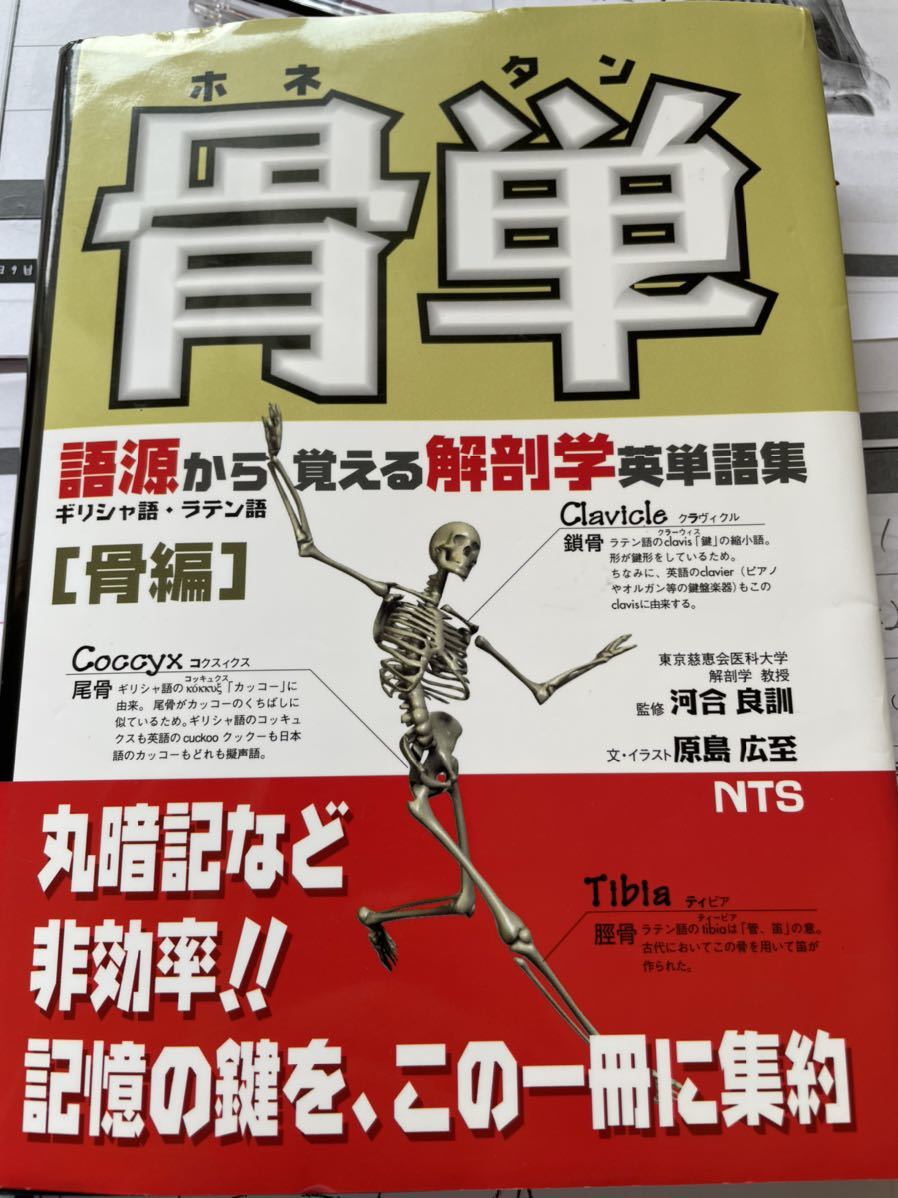交通事故患者独占プログラム DVD 柴田先生 治療院 接骨院 施術DVD DVD