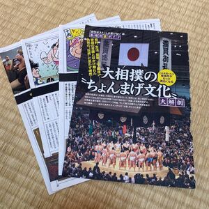 大相撲 切り抜き 豆知識 週刊ポスト 春場所裏ガイド 大相撲のちょんまげ文化大解剖 相撲 記事 グッズ