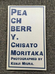 Peachberry Chisato Moritaka / 三浦憲治 森高千里フォトアートピーチベリー 歌手 美脚 オバサン 渡良瀬橋