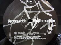 12inch PROCREATION aka DEETRON / Rhythmatism / COMPOST 5枚以上で送料無料_画像2